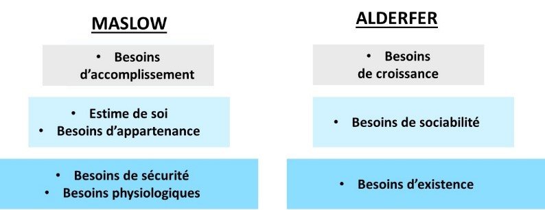 Alderfer ERG