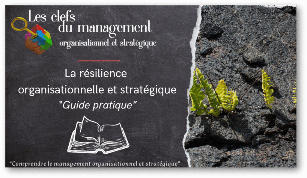 resilience-organisationnelle-et-strategique-guide.jpg