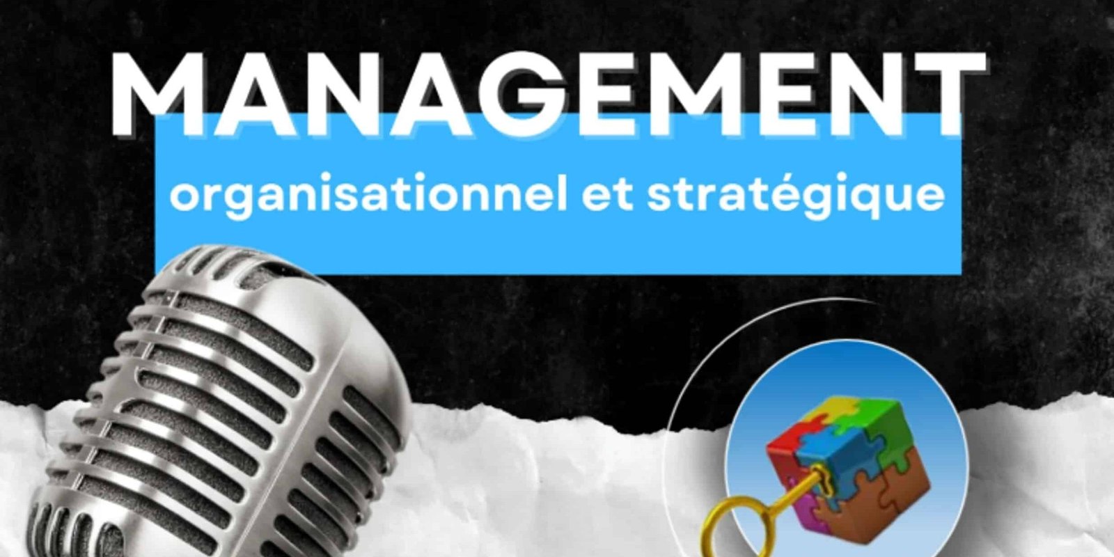 Ambidextrie organisationnelle et stratégique - Les Clefs du Management