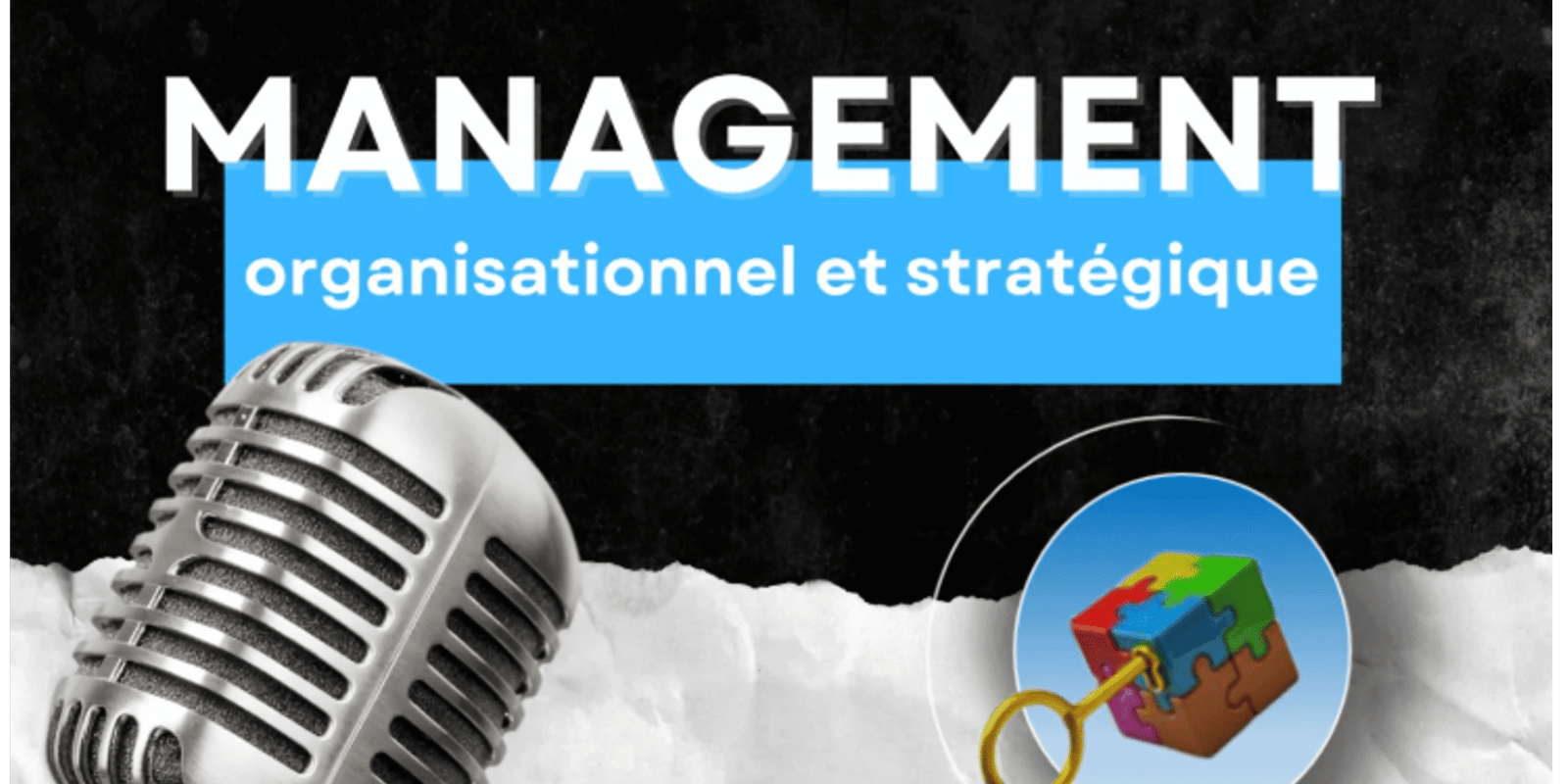 Résilience organisationnelle Résilience organisationnelle et stratégique - Les Clefs du Management